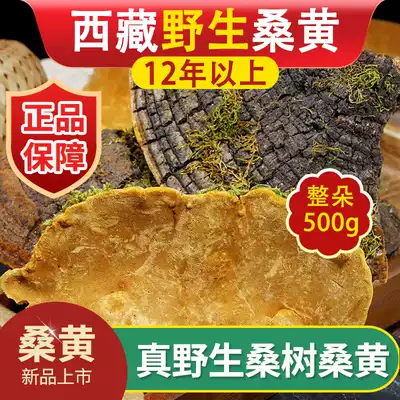 Tibet wild Mulberry Mulberry and wild Ganoderma lucidum Autonomous region Super Mulberry 500g