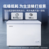 Star Freezer Household Refrigerator Commercial Large-Capacity Refrigeration and Freezing Dual-Use Small Dual-Temperature Freezer