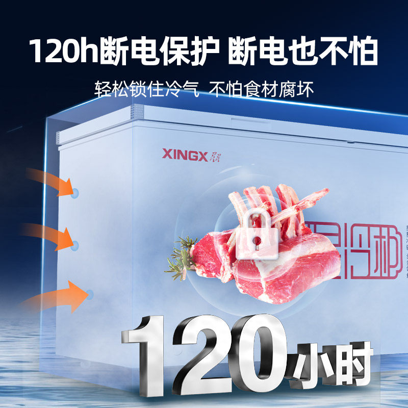Star Freezer Commercial Freezer Large Capacity Refrigeration and Freezing Horizontal Single-Temperature Refrigerator Fresh-Keeping Freezer