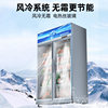Star Refrigerator Beverage Cabinet Convenience Store Refrigerated Display Cabinet Supermarket Commercial Refrigerator Vertical Display Freezer
