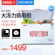 Máy làm lạnh ngang XINGX / Star BD / BC-305E Máy làm lạnh đông lạnh Đơn nhiệt độ thương mại - Tủ đông