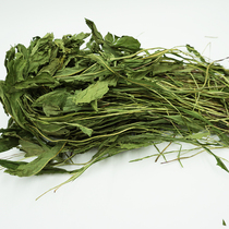 2024 dried dandelion hay rabbit chinchilla guinea pig alpaca heat-clearing fire-removing and anti-inflammatory grass 500g net weight