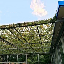 Camouflage camouflage net Satellite shielding net Rooftop courtyard camouflage green color net Shading net Outdoor sunshade net Sunscreen net