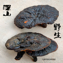 Double Crown deep mountain old brand plateau deep mountain wild black Ganoderma lucidum black lucidum purple lucidum 250 grams new hot sale