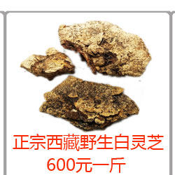 Jiugongge Group_02.jpg