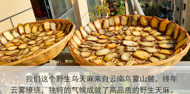 Wutian MA Таблетки 3.jpg