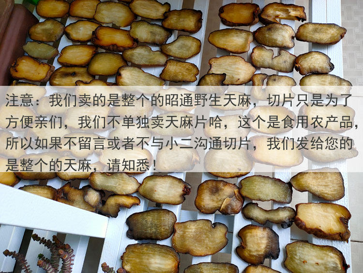 Wutian MA Film 8.jpg