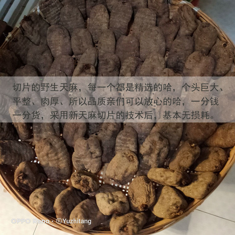 Wutian MA TABLETS 9.JPG
