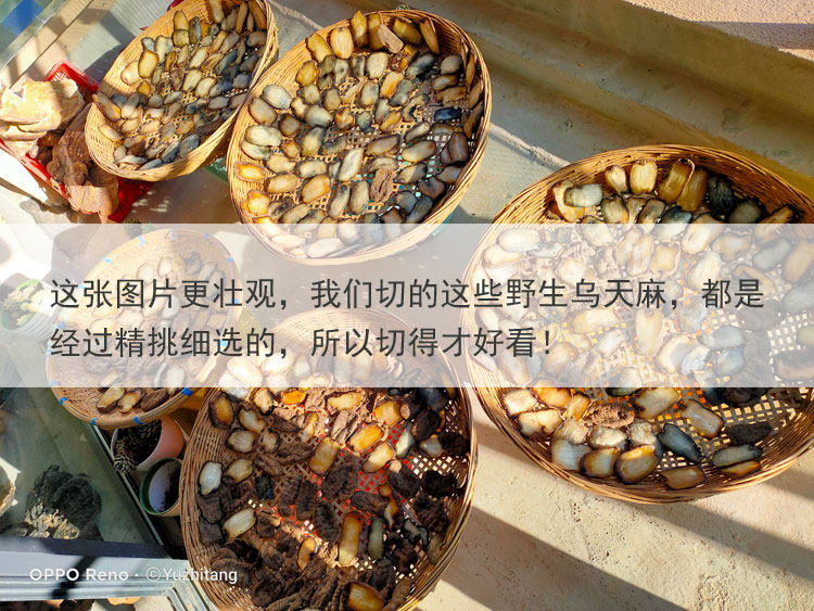 Wutian MA ТАБЛИЧНЫЕ 7 7.JPG