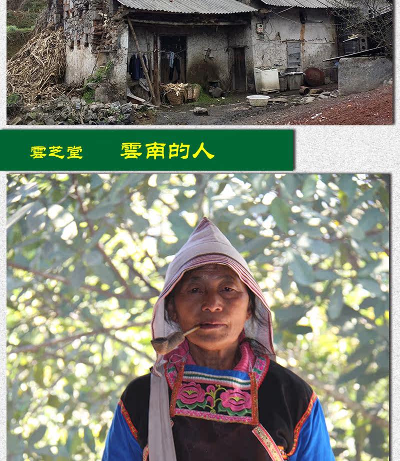 Описание Ganoderma 1_14