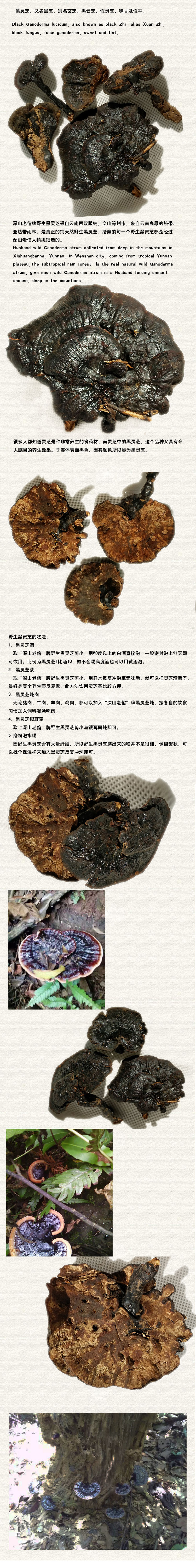 черный Shiba 10 descriptions.jpg
