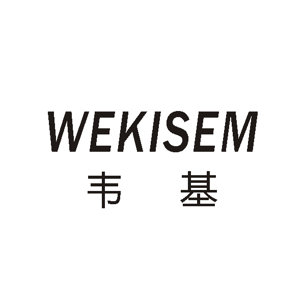 韦基半导体的LOGO