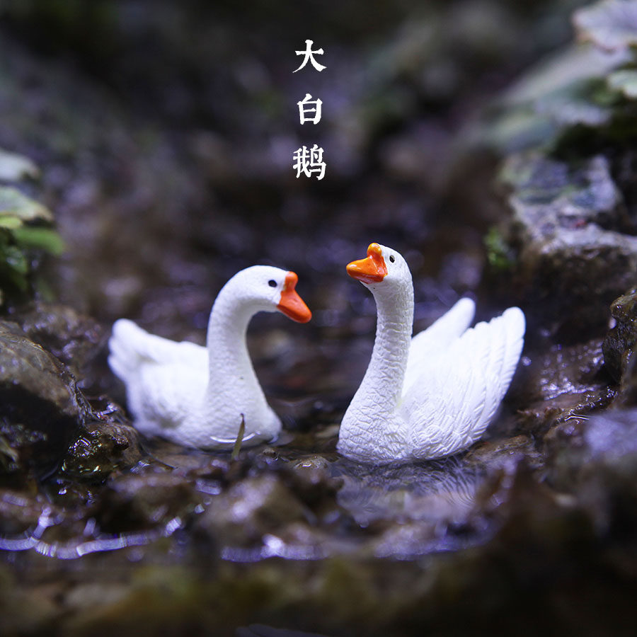 创意包邮微景观装饰大白鹅小摆件,你的桌面新宠?🌟-生态瓶/创意缸/微景缸-淘宝好物网