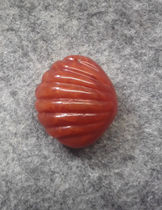South Red South Red Agate Shells 4 22 gr 20MM