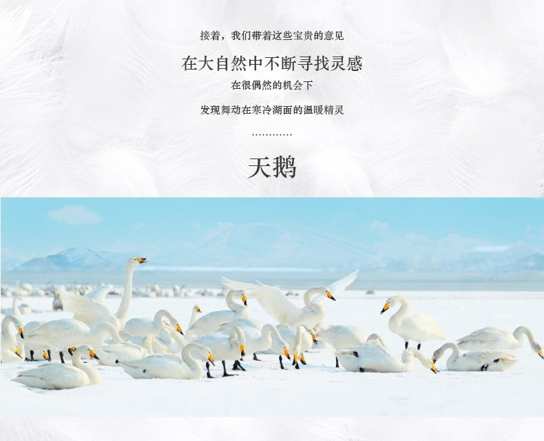 Sous-vêtement chaud jeunesse REALWILL simple - Ref 768352 Image 10