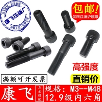 12 9 levels of inner hexagonal screw specifications complete M3-M48 purchase specifications × length consulting shop home to film the change price
