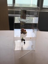 Fully transparent acrylic display cabinet plastic small square cabinet boutique cabinet commodity display cabinet