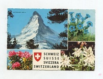 1968 Switzerland actual postcard matterhorn peak various wild flowers church stamps