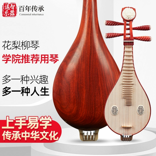 Liuqin Musical Instrument