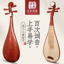 Pipa musical instrument for beginners adult performance examination childrens beginner entry mahogany rosewood ethnic professional special
