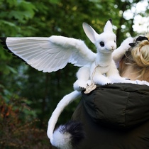 Customized rabbit griffon Gakmancreature half year old Russian artist handmade movable doll