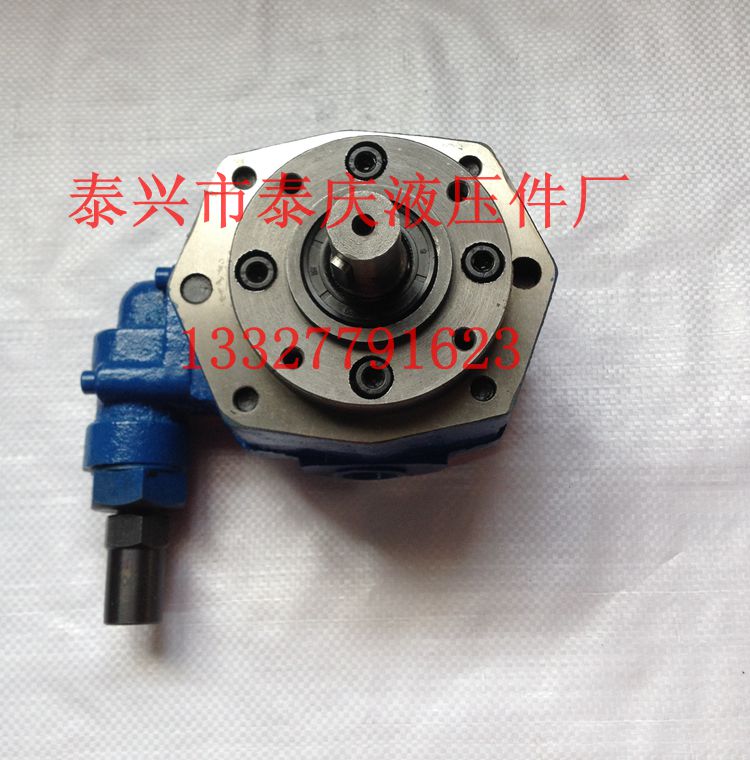 With pressure regulator safety valve Cycloid gear oil pump BB-B63Y 50Y 40Y 100Y 80Y 125Y Lubrication