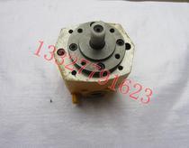 Y safety valve cycloid rotor pump Small oil pump BB-B2 5Y BB-B4YBB-B6YBB-B10 lubricating gear pump