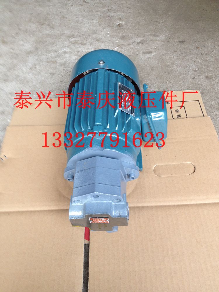 Cycloidal gear oil pump motor group plug-in BB-B10 6 4 16 20 20 25 32 lubricated pump stand-up interpolation