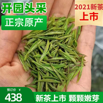 2021 new tea on the market authentic Anji white tea open garden head 250g green tea Ming front Special Bud canned