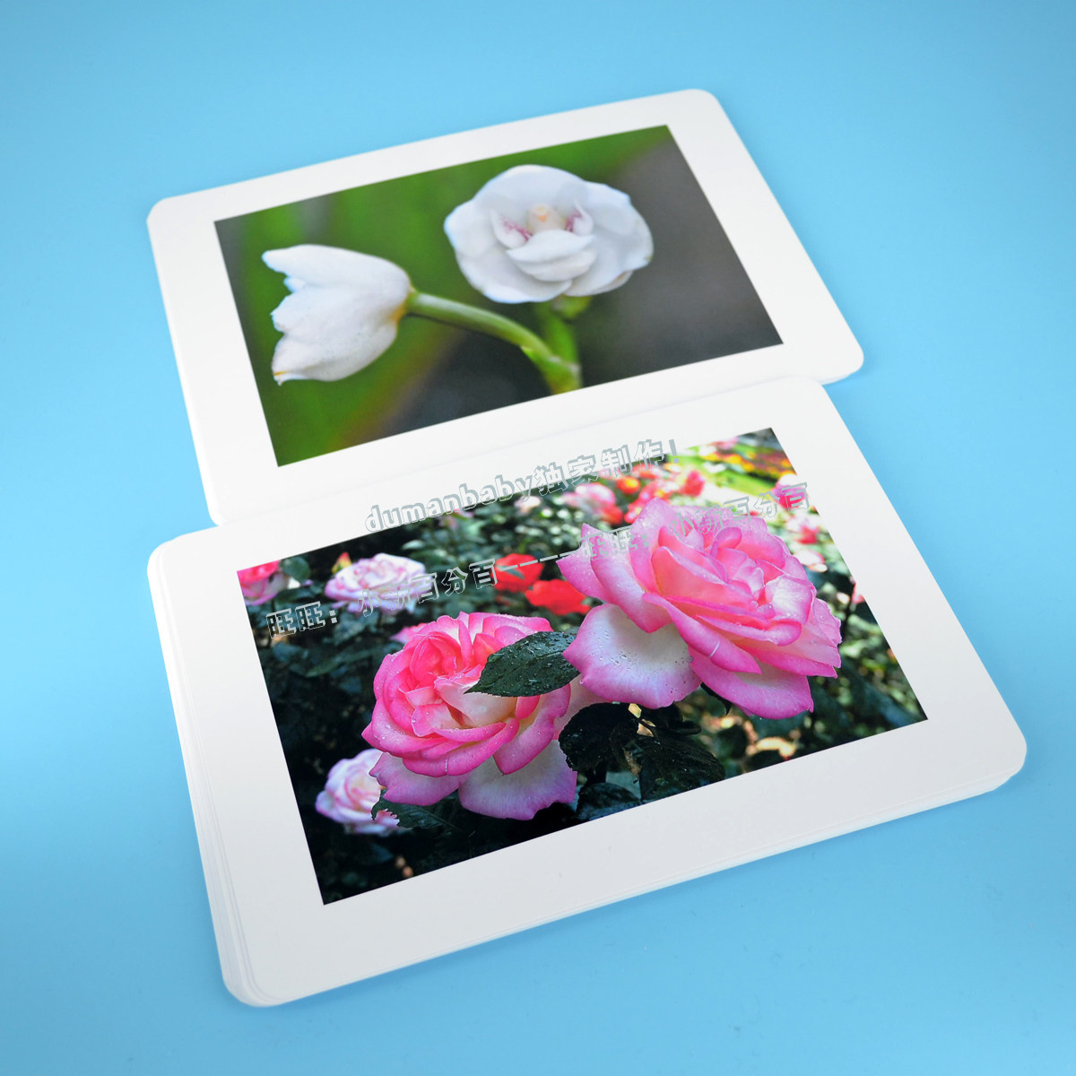 (National Flower Card) Encyclopedia Reading Literacy Cards Plant Cards Right Brain Development Early Education Flash Cards Children Puzzle Toys