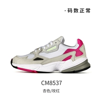 CM8537/Baihong