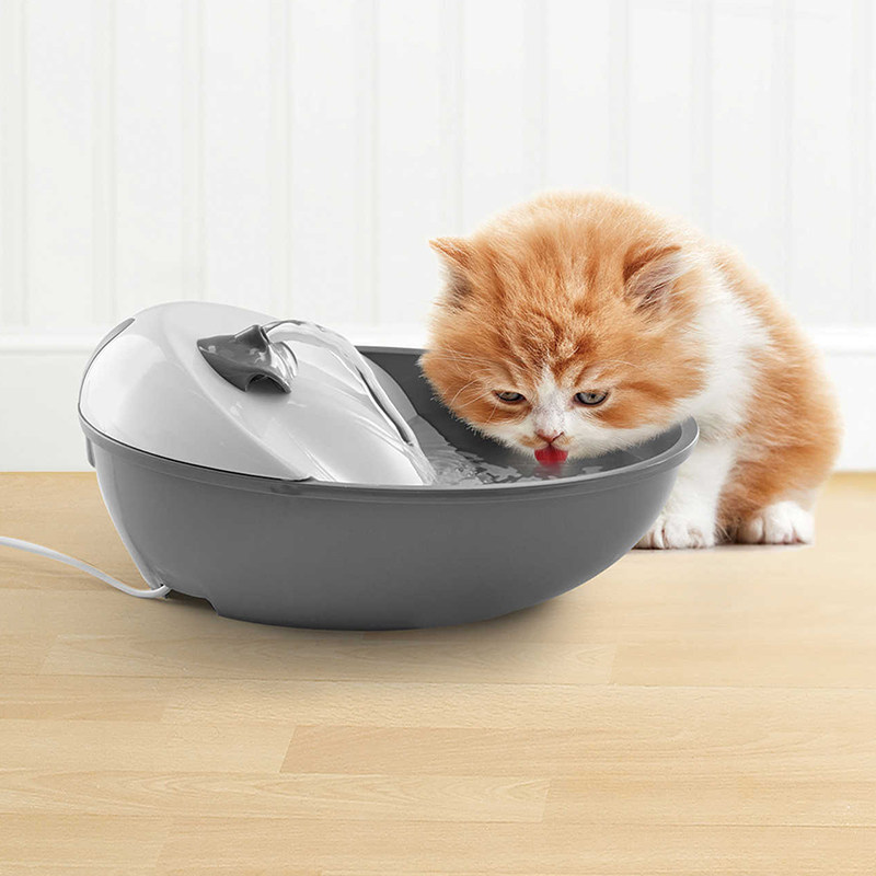 Pioneer Pet Automatic Circulation Pet Cat Water Dispenser Living Water Filter Cat and dog Water Dispenser Feeding basin