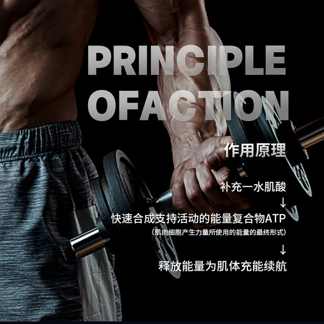 Gat Pure Creatine Powder Gat High-Purity Creatine Monohydrate Sports Fitness Supplement Flagship Store