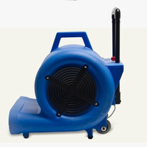 Straight batch of super-treasure cards CB900B ground powerful blow-drying machine CB-900B three-speed adjustment drawbar-type hair dryer