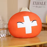 Швейцарский мяч