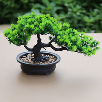 Chinese Zen simulation fake pine tree welcome pine potted plant model room Exhibition Hall hotel placed green bonsai decorations