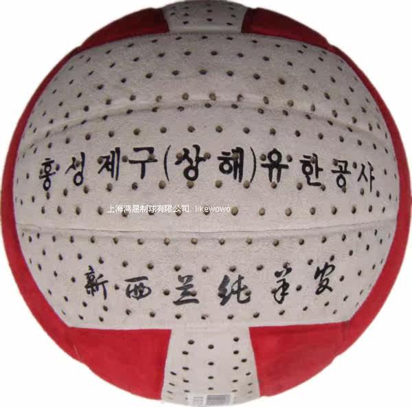 Ballon de volley-ball - Ref 2014770 Image 8