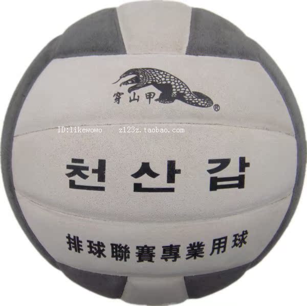 Ballon de volley - Ref 2015225 Image 4