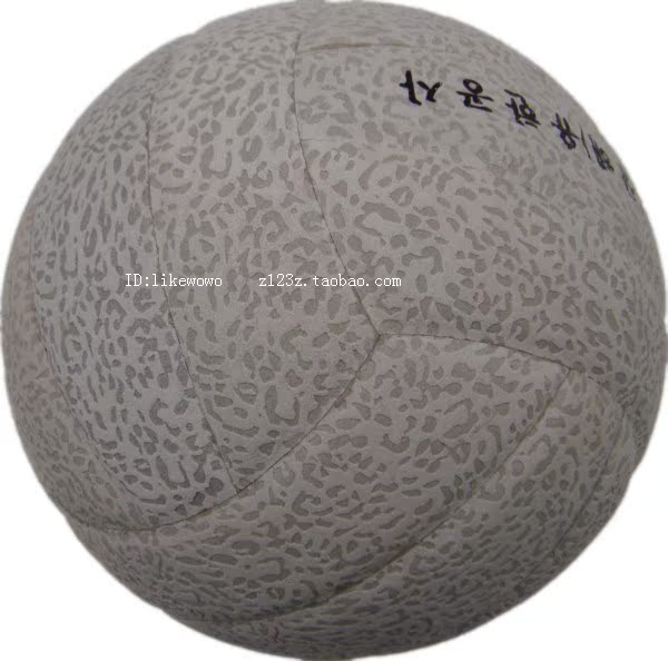 Ballon de volley-ball - Ref 2015231 Image 5