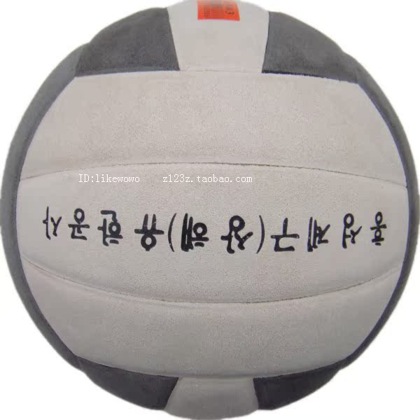 Ballon de volley - Ref 2015225 Image 6