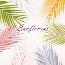 ins Scattered-tailed sunflower simulation leaf photography home decoration Nordic false leaf small fresh tropical simulation leaf