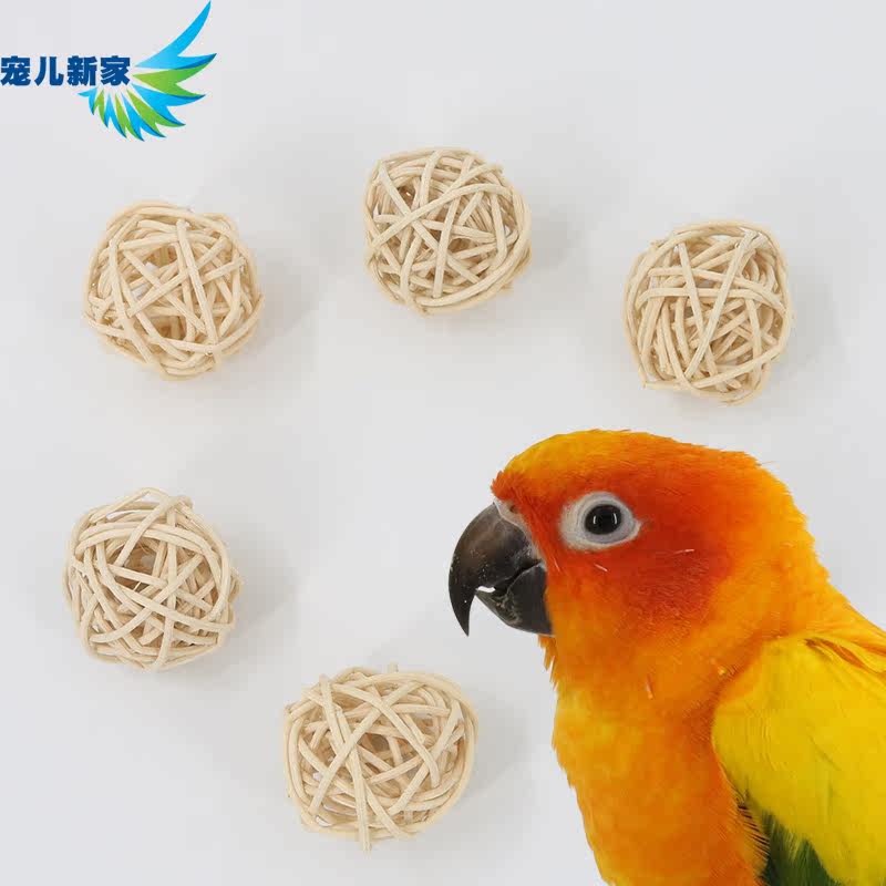 Darlings New Home Vines Toy Natural Parrot Toys Nibble With Bird Toys Training Puzzle Toy GENFENG TIGER LEATHER