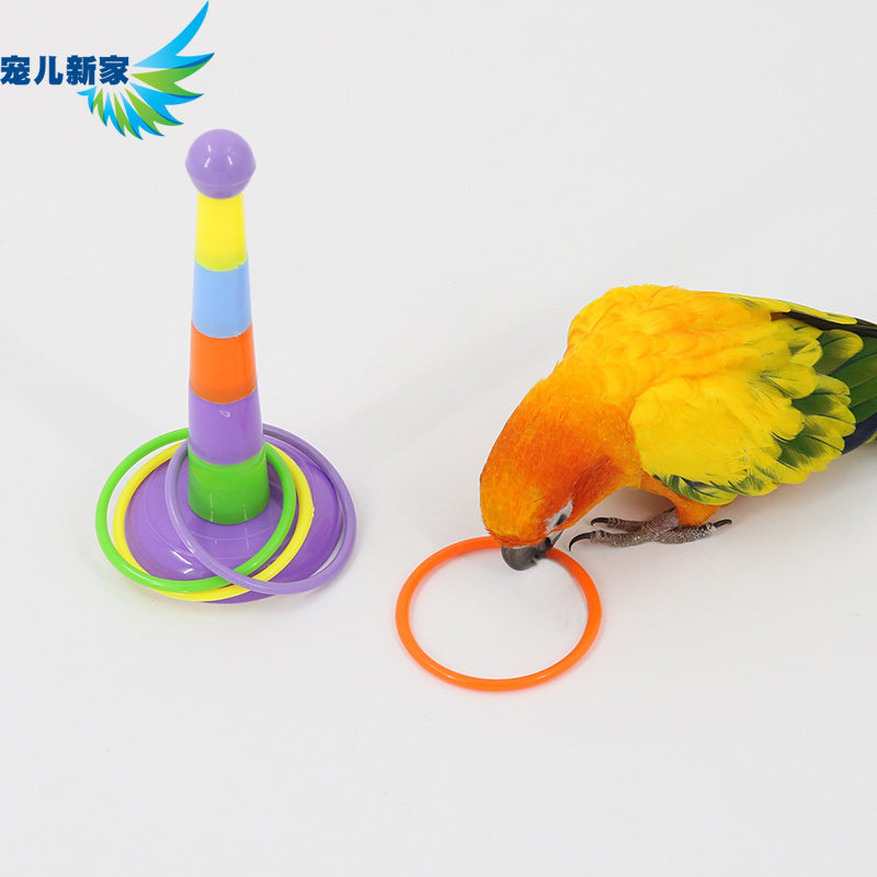 Parrot training ring, parrot toy, bird toy, parrot toy training, educational toy set supplies