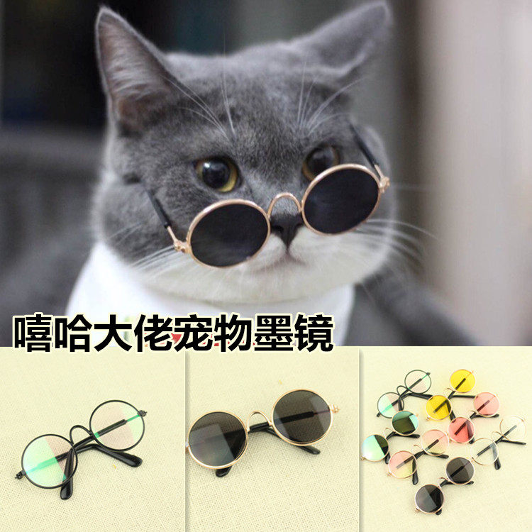 Get the blame for pet sunglasses puppies Glasses Cat Ornaments Hip Hop Gags Sell Cute and Teddy Bear Puppet Anglo American Short-Taobao