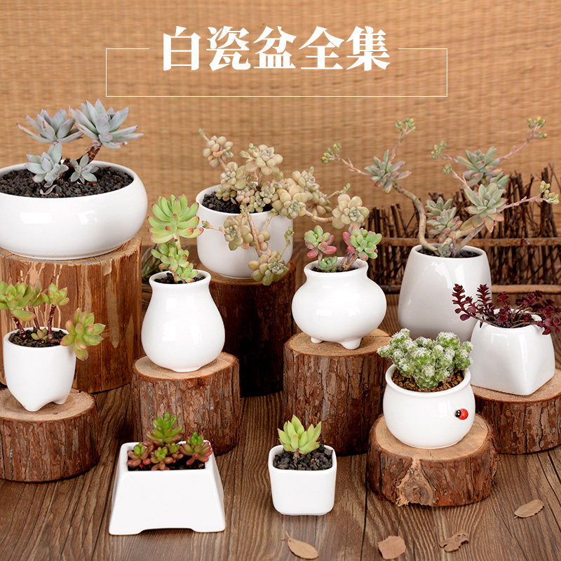 Multi Meat Ceramic Square Basin Large Size Meat Potted Square White Desk Brief White Porcelain Flower Pot Round Small Flower Pot