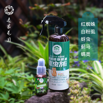 Yijia Garden Yucca palm Oil Universal insecticide Insecticide Starscream aphid insect repellent spray