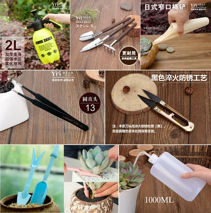 Mọng nước trồng công cụ kết hợp set ra hoa mini nguồn cung cấp vườn thịt trong chậu thịt công cụ