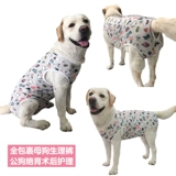 Большая собака, соединяющая физиологические штаны, все обернутые суки анти -харассирующие противозачаточные сантехнические брюки и уход за стерилизацией собак и уход за стерилизацией собак