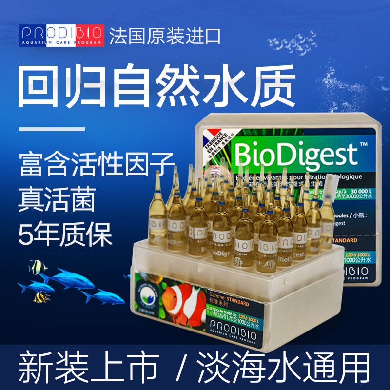 Nitrifying bacteria fish tank with French Cody water quality becomes clear digestive system active beneficial living bacteria fresh sea water purification