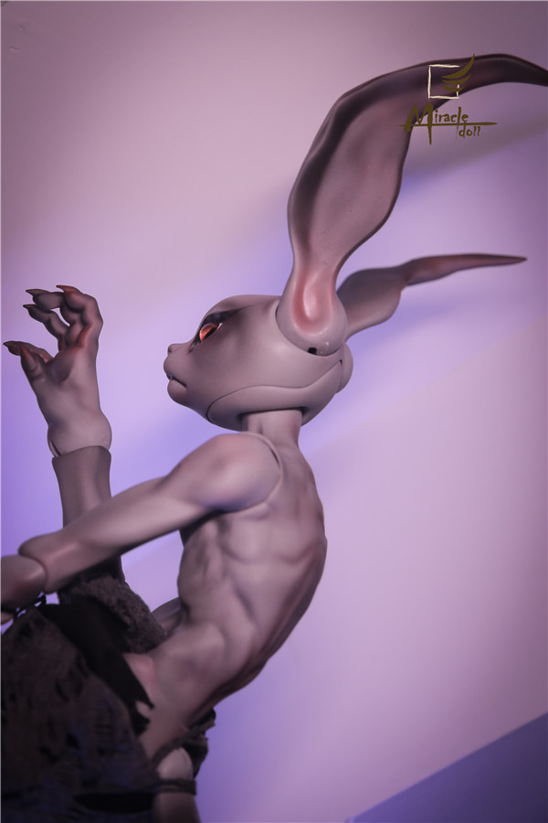 Crazy Rabbit-mc-08.jpg